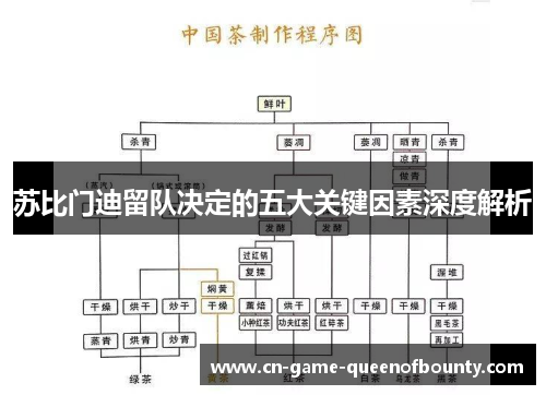 苏比门迪留队决定的五大关键因素深度解析