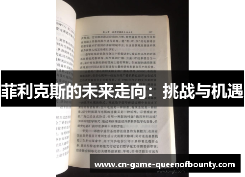菲利克斯的未来走向:挑战与机遇 菲利克斯的未来走向:挑战与机遇