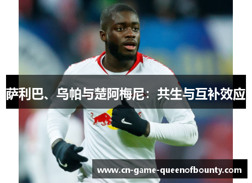 萨利巴、乌帕与楚阿梅尼:共生与互补效应 萨利巴、乌帕与楚阿梅尼:共生与互补效应
