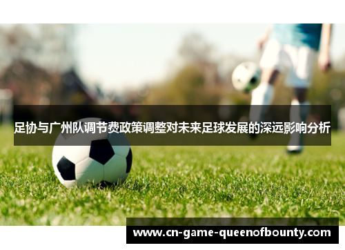 足协与广州队调节费政策调整对未来足球发展的深远影响分析